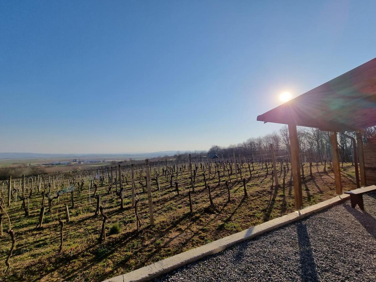 Kuca Za Odmor Baron Villa Kutjevo ภายนอก รูปภาพ