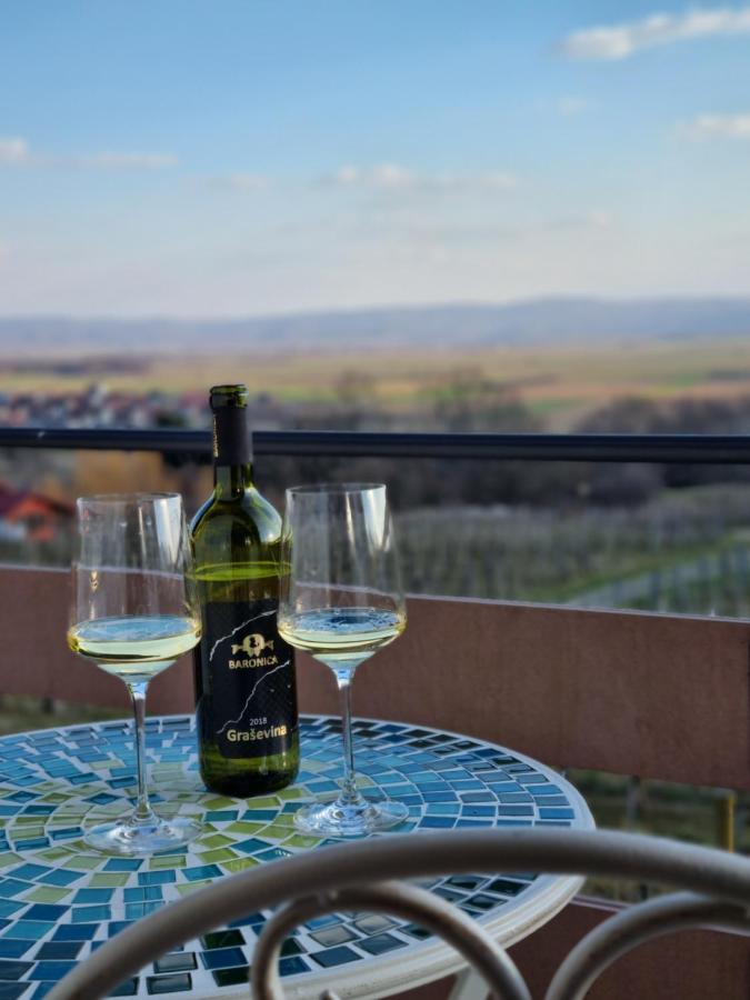 Kuca Za Odmor Baron Villa Kutjevo ภายนอก รูปภาพ