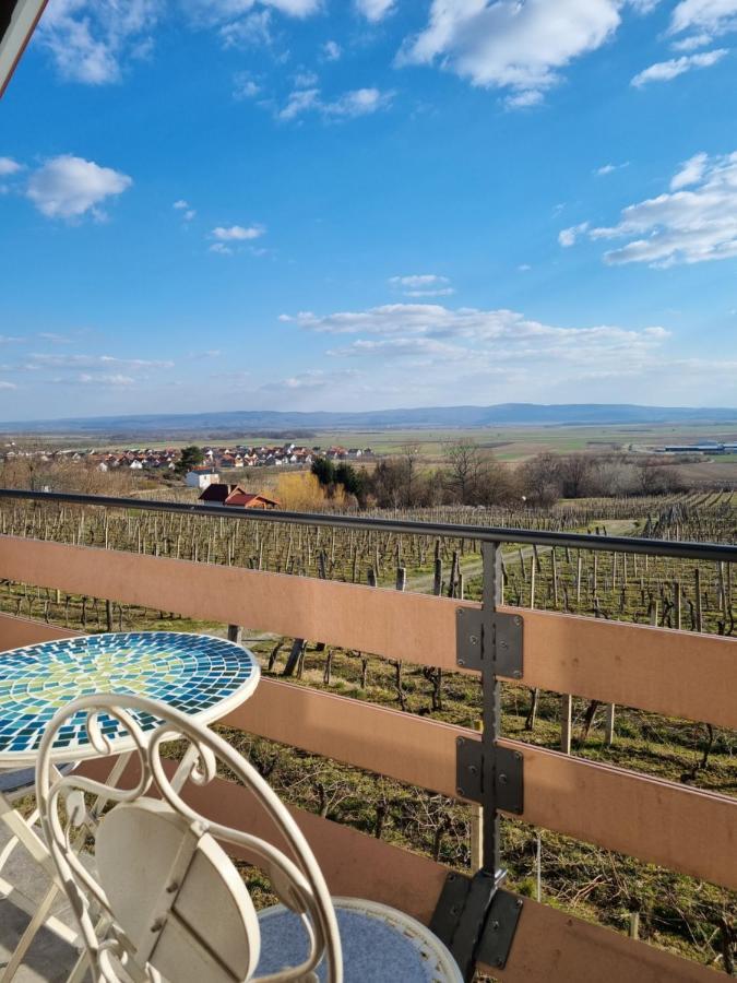 Kuca Za Odmor Baron Villa Kutjevo ภายนอก รูปภาพ