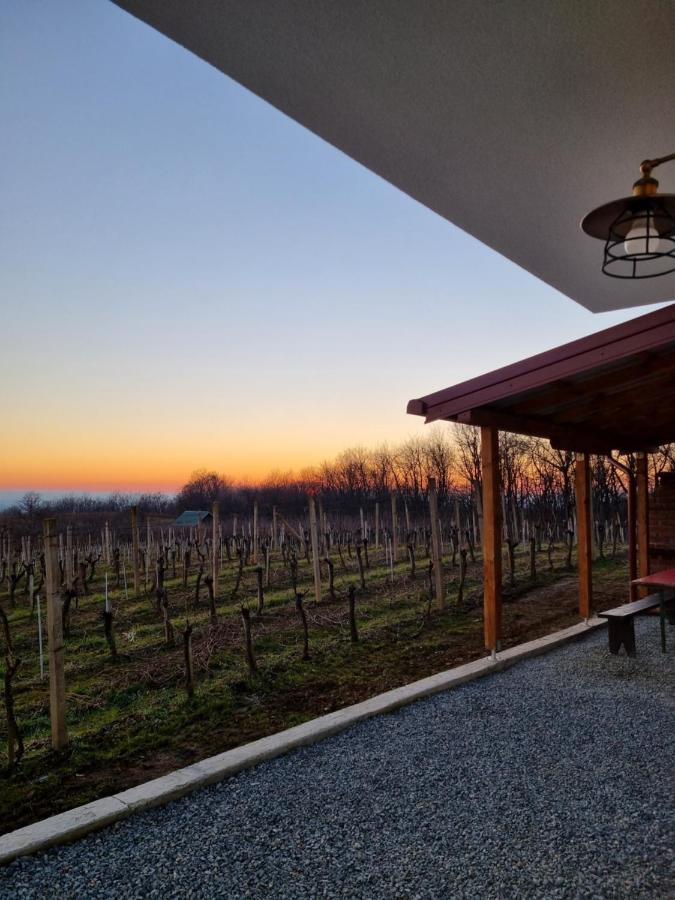Kuca Za Odmor Baron Villa Kutjevo ภายนอก รูปภาพ