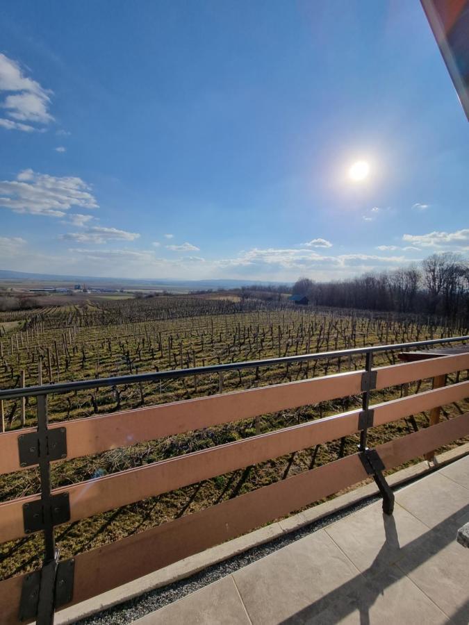 Kuca Za Odmor Baron Villa Kutjevo ภายนอก รูปภาพ