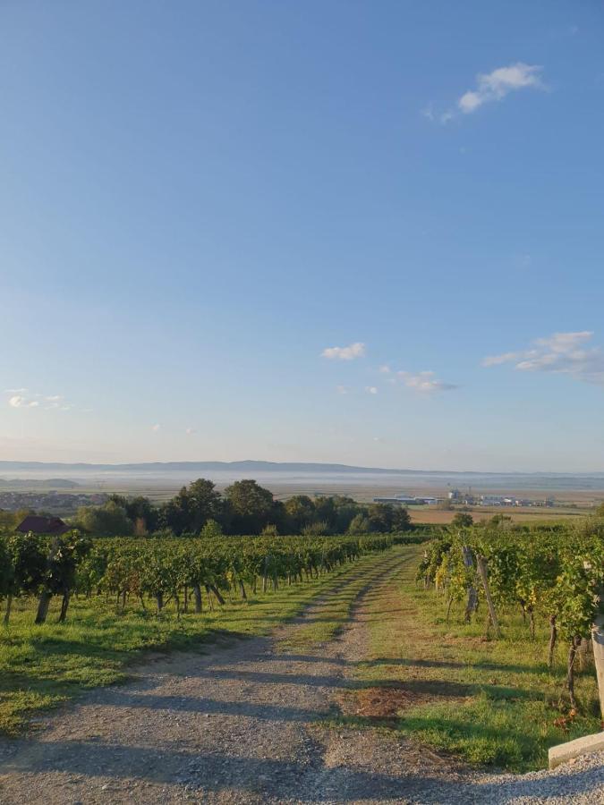 Kuca Za Odmor Baron Villa Kutjevo ภายนอก รูปภาพ