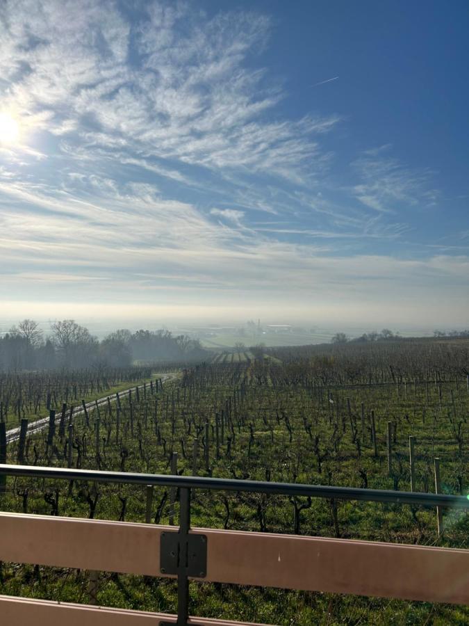 Kuca Za Odmor Baron Villa Kutjevo ภายนอก รูปภาพ
